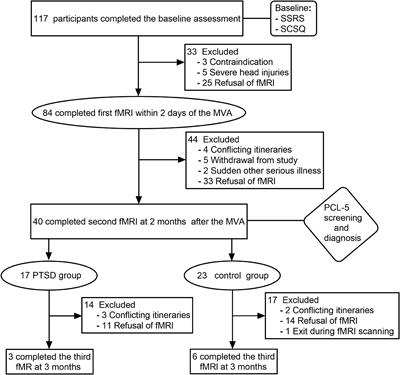 Dynamic changes in brain structure in patients with post-traumatic stress disorder after motor vehicle accident: A voxel-based morphometry-based follow-up study